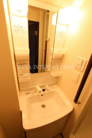 ラグレージュⅢの洗面所