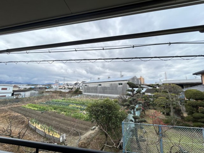 【展望】 | アライブ滝本