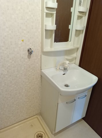 メゾンドール堺の洗面所