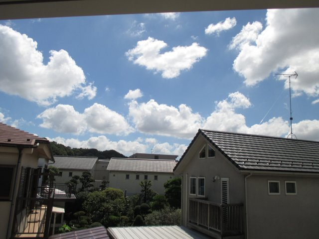 アルバ フォレスタの展望