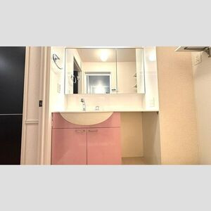 シャンベルタンの洗面所