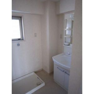 ロックガーデン南棟の洗面所