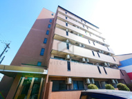 カデンツァケーの画像