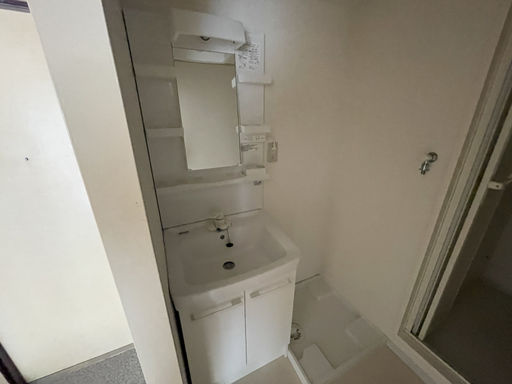信和マンションの洗面所