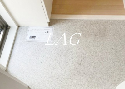 【玄関】 | アーバンライフミハシⅡ | 玄関です。