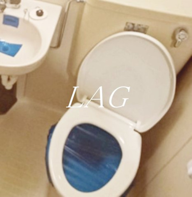 【トイレ】 | グリーンビラサショウ | トイレです。