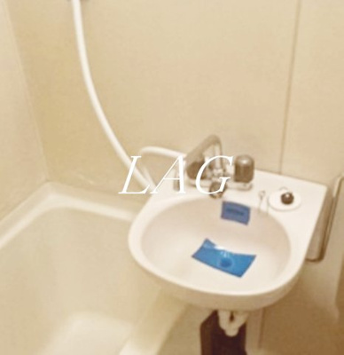 【洗面所】 | グリーンビラサショウ | 洗面台です。