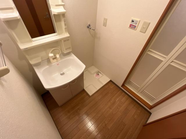 ハイム・サザンクロスのその他|脱衣所