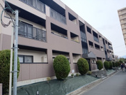 ミーテソシアの画像