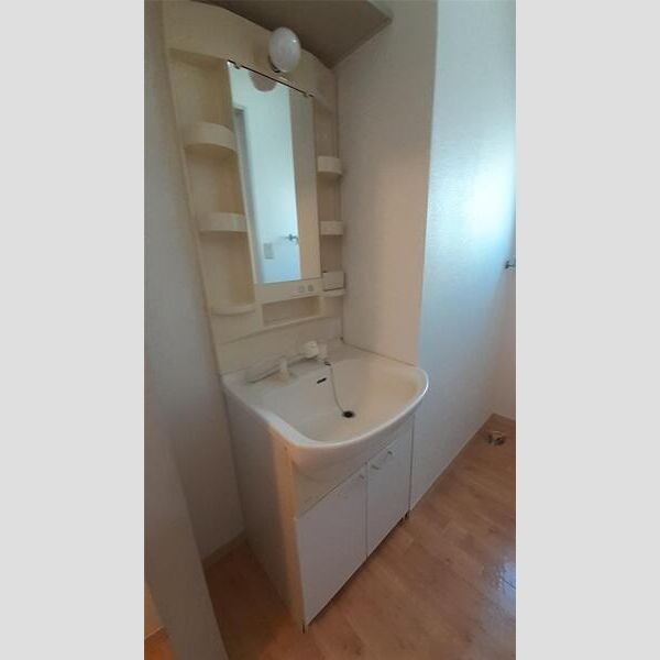 サンメゾンAの洗面所