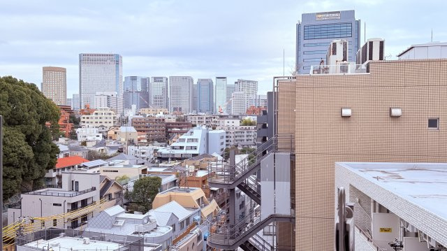 ★仲介手数料無料★東建島津山南ハイツ（新規リノベーション済み）の展望