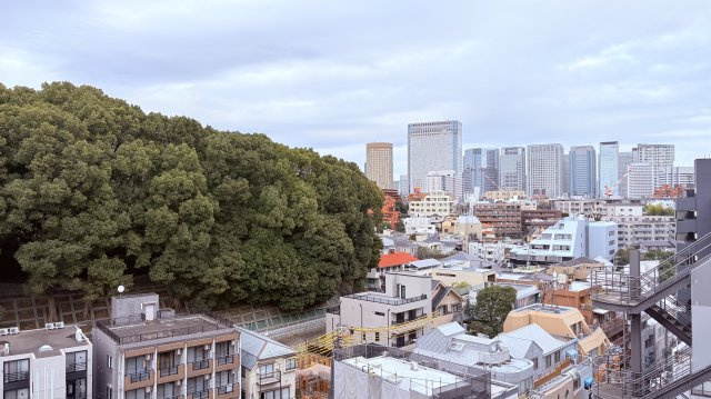 ★仲介手数料無料★東建島津山南ハイツ（新規リノベーション済み）の展望