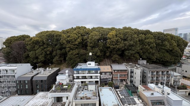 ★仲介手数料無料★東建島津山南ハイツ（新規リノベーション済み）の展望