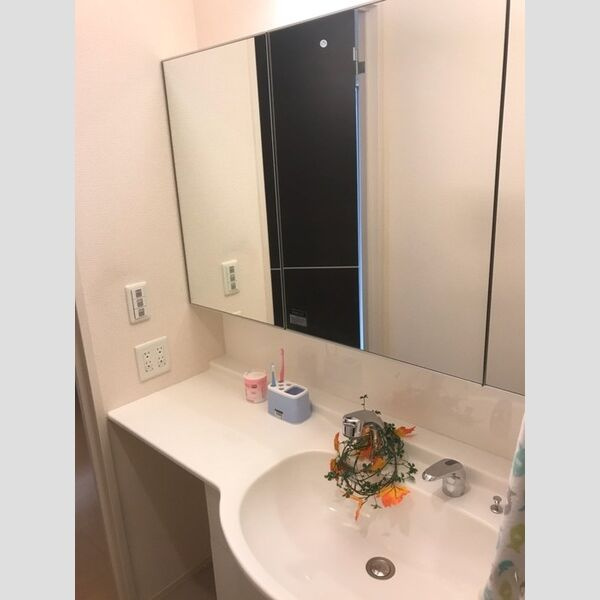 レスペランスA棟の洗面所