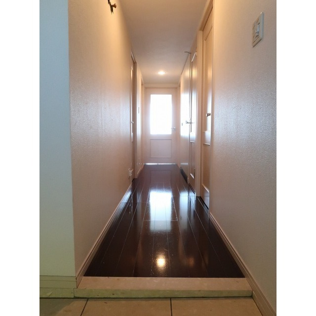 リッツレジデンシャル（７０４号室）の玄関