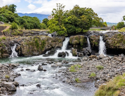 【その他】 | レオパレスきんもくせい