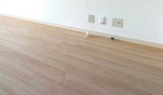 スカイハウス　礼金０　ネット無料　学生さんオススメの内装