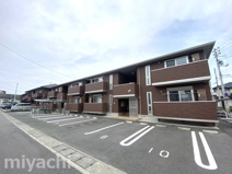 アムールFの画像