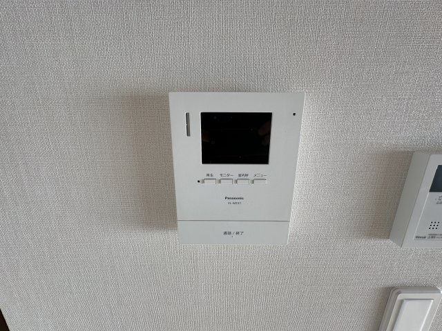 サニーオリーブ