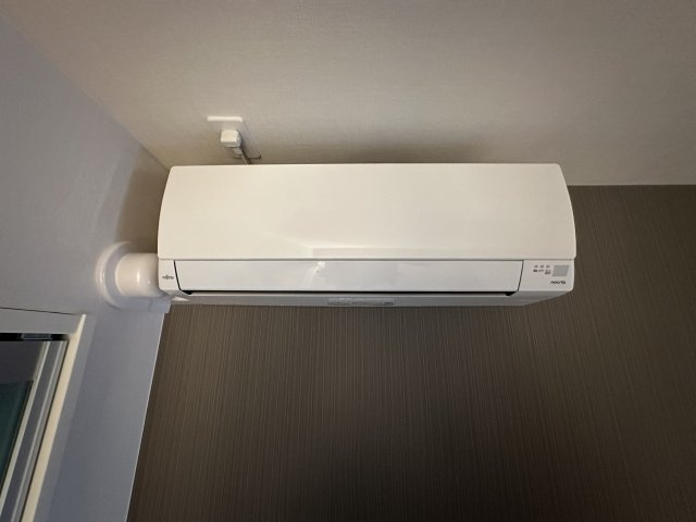 サニーオリーブ