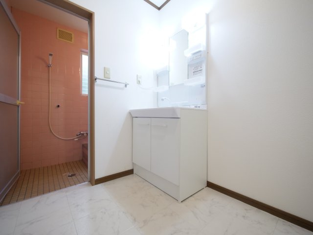 メゾネット花尻の洗面所