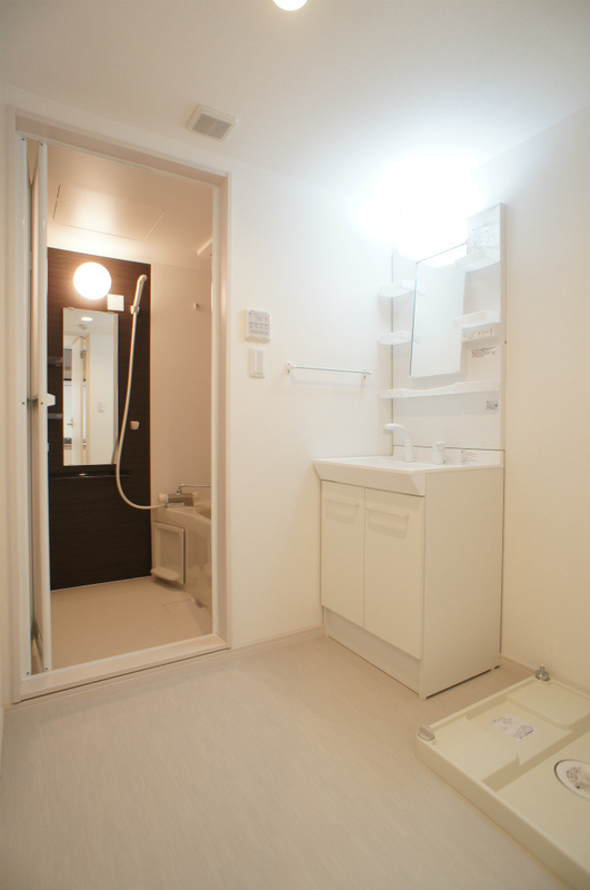 リブリ・メゾン・樹の洗面所