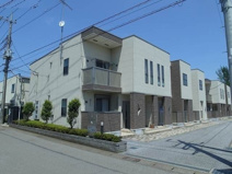 マーベラスＡの画像