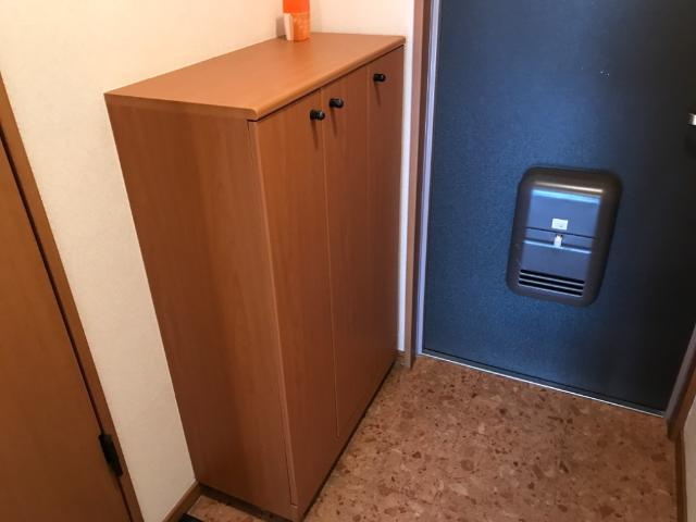 スカイハイツ野田の玄関|玄関