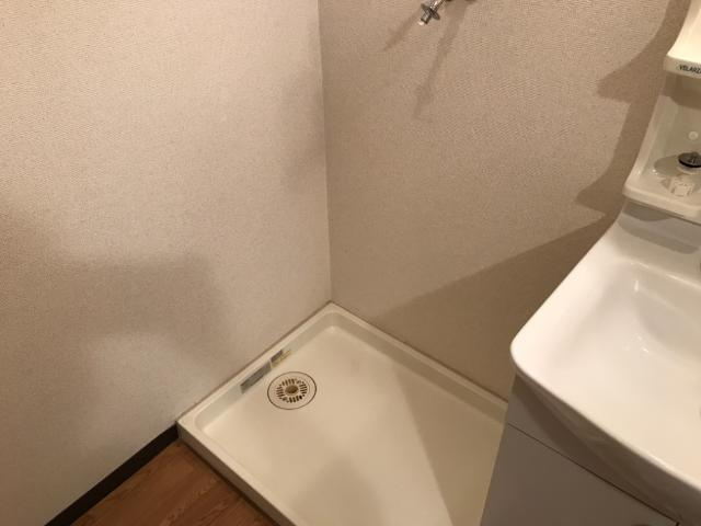 スカイハイツ野田のその他|洗濯機置場