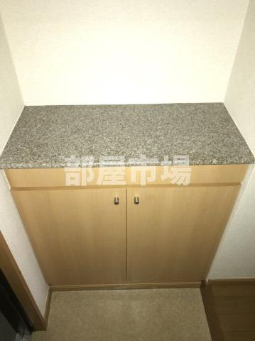 パールピアスのその他|シューズボックス