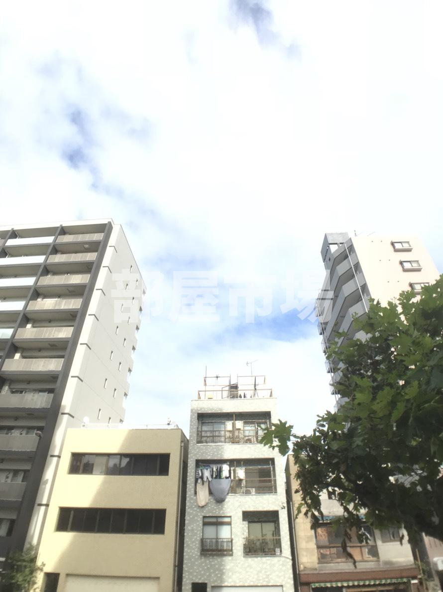 パールピアスの展望