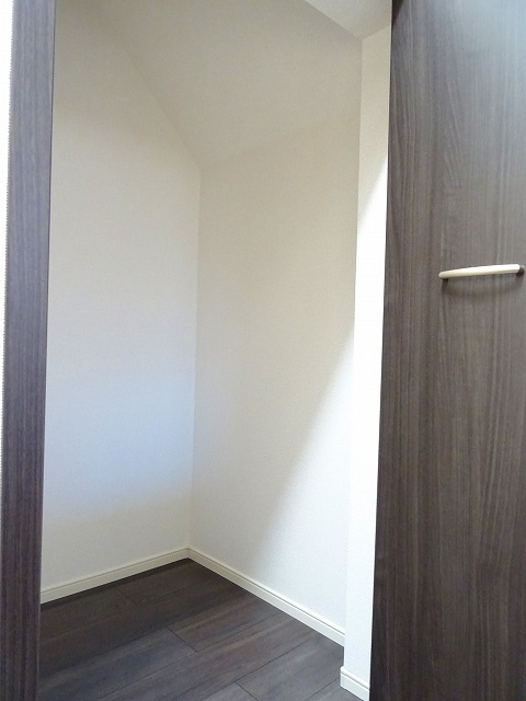 ラフレシールⅡのその他