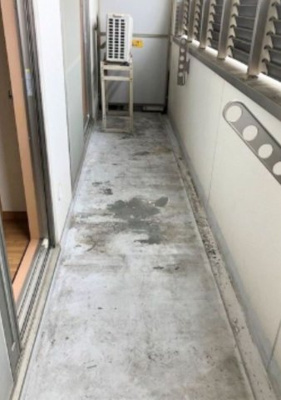 【バルコニー】 | ミネアポリス