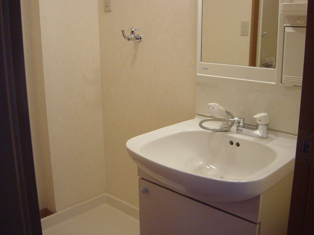 大佐野ハイツの洗面所|洗面