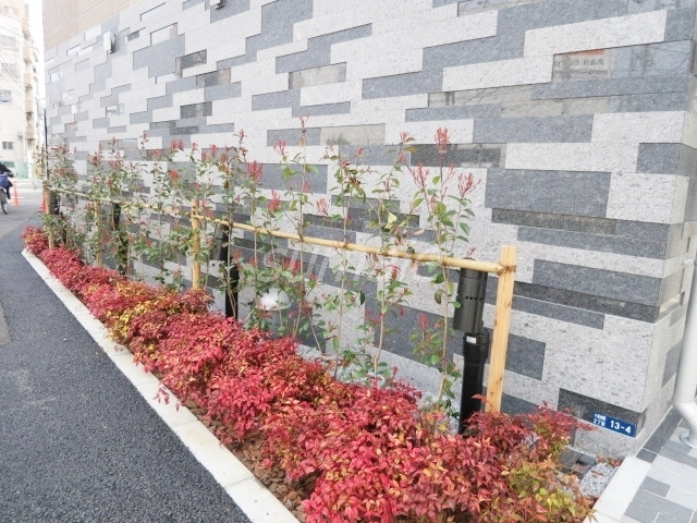 ＤＩＰＳ十条仲原ＷＥＳＴのその他|植栽です☆