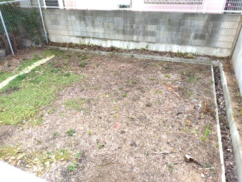 香枦園スカイハイツの庭