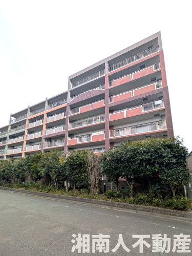 ロータリーパレス藤沢