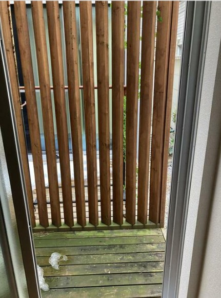 Reforma中野のバルコニー