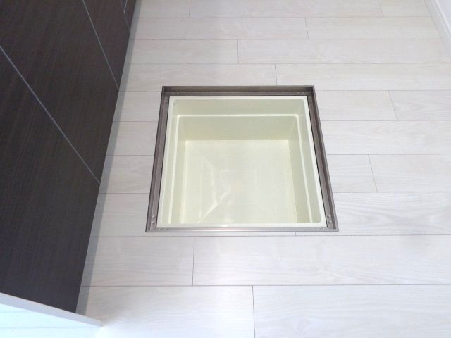 セリョンのその他