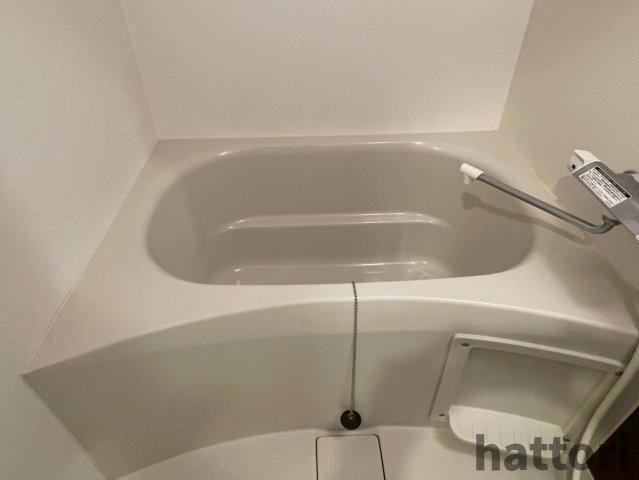 セレニテ江坂ルフレの浴室