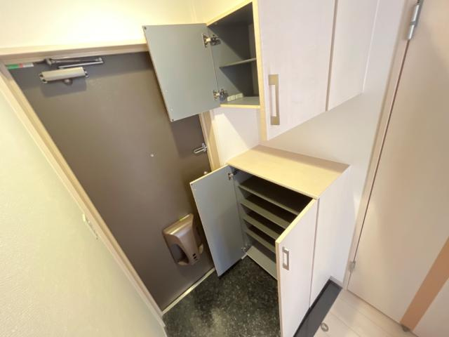 Albireo（アルヴィレオ）の玄関|玄関収納