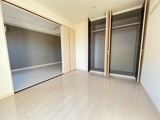 Albireo（アルヴィレオ）の収納|南側洋室収納