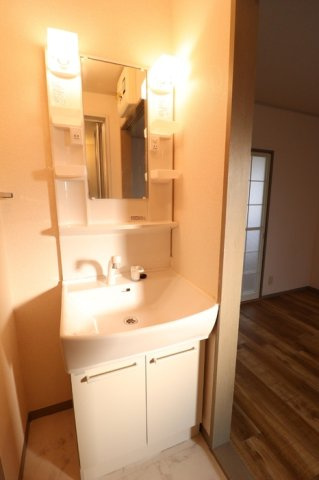 フリージアコートの洗面所