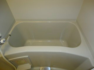 フローベールの浴室