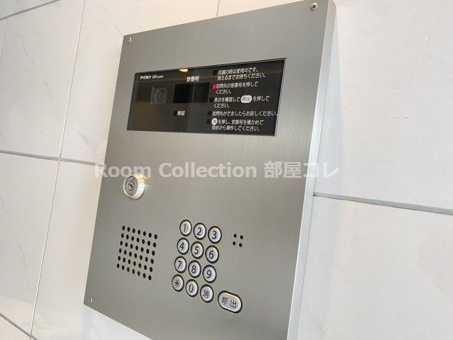 ロイヤルピジョンライズのエントランス|※同物件写真