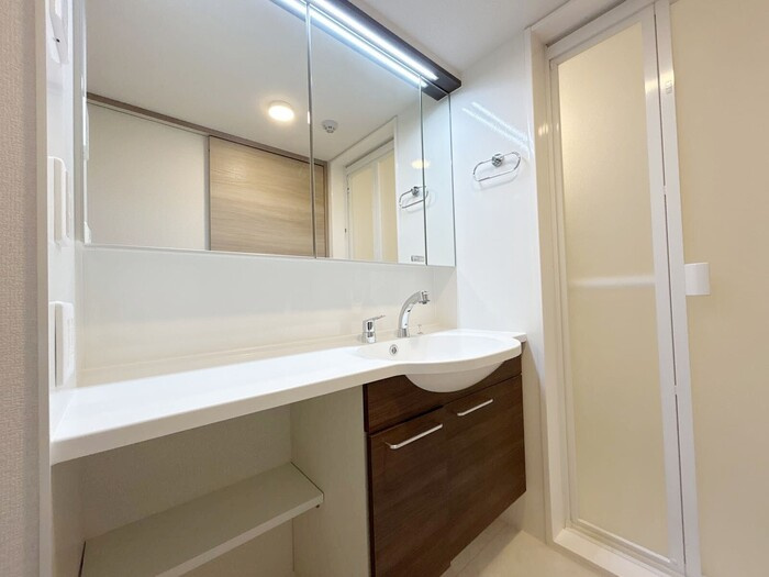 グラナーデ東日暮里の洗面所