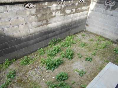 【庭】 | クレールしののめ