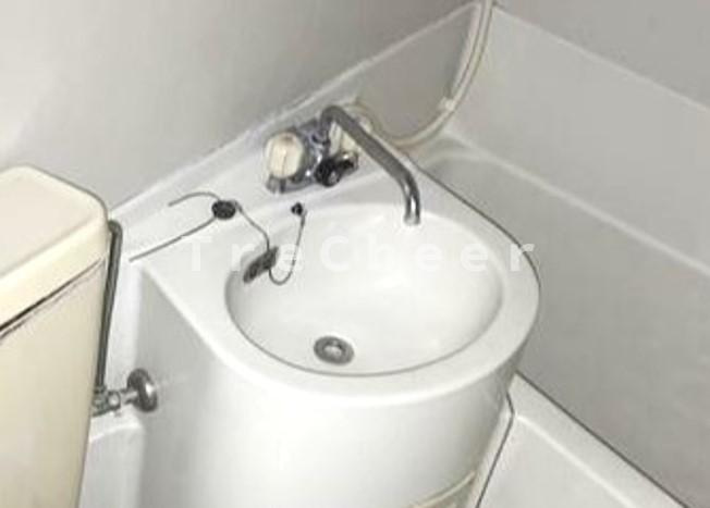 ロイヤルパレス6の洗面所