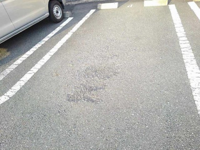 【駐車場】 | パルムドール