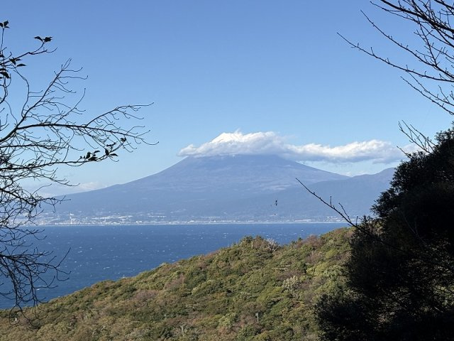 沼津市　戸田の展望